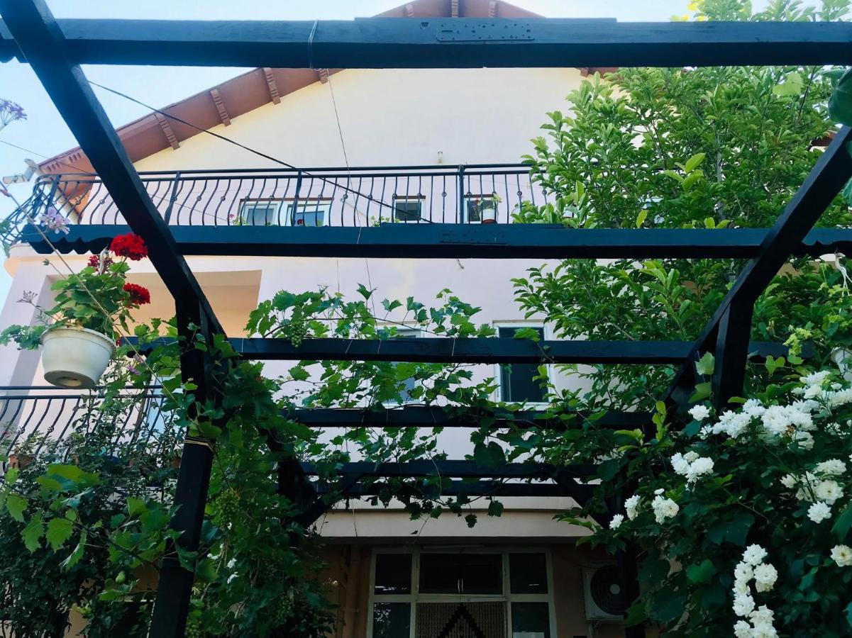 Vila A&S Hotel Costinesti Exterior photo